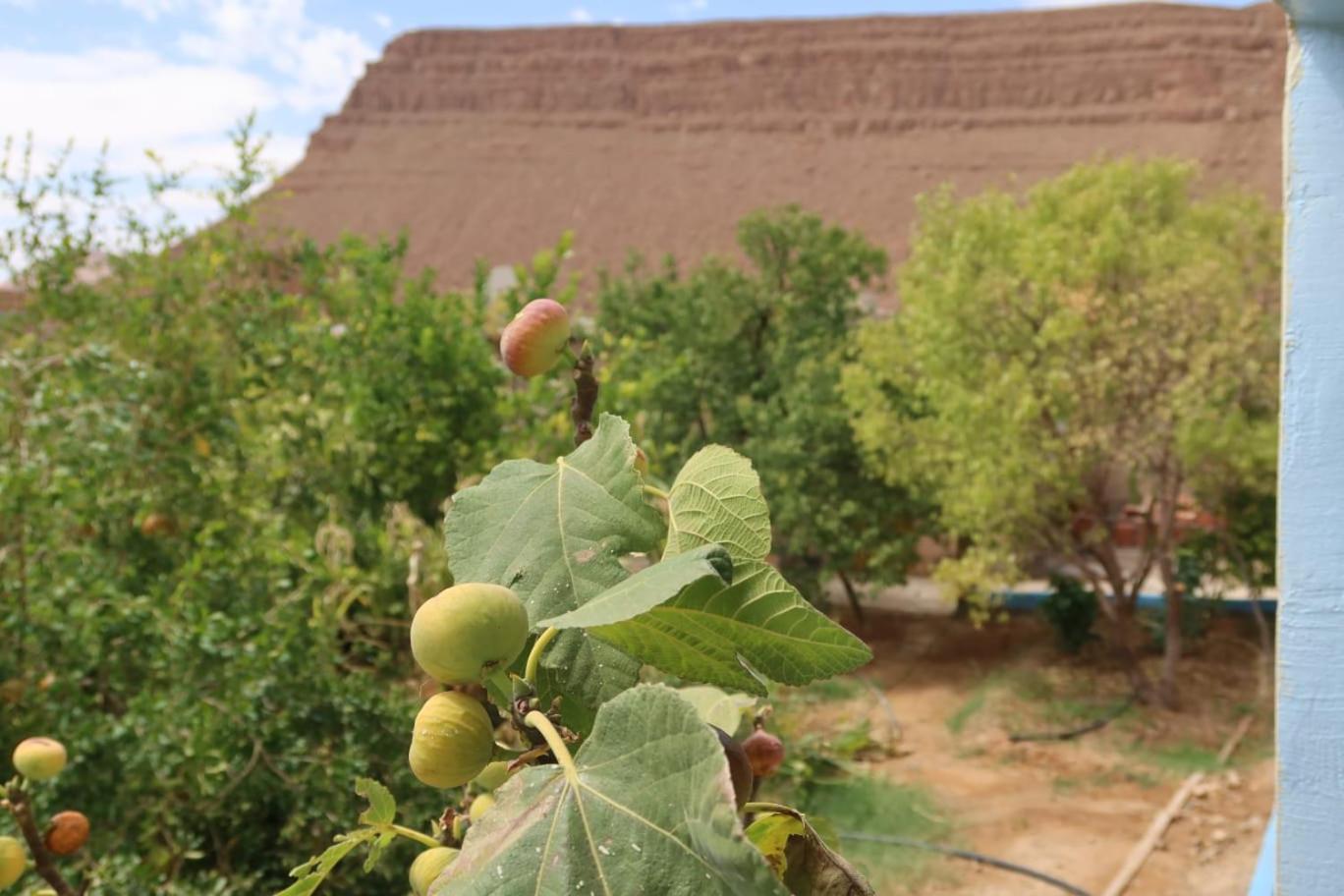 Gite D'Etape Ziz Oasis Achbarou Eksteriør bilde