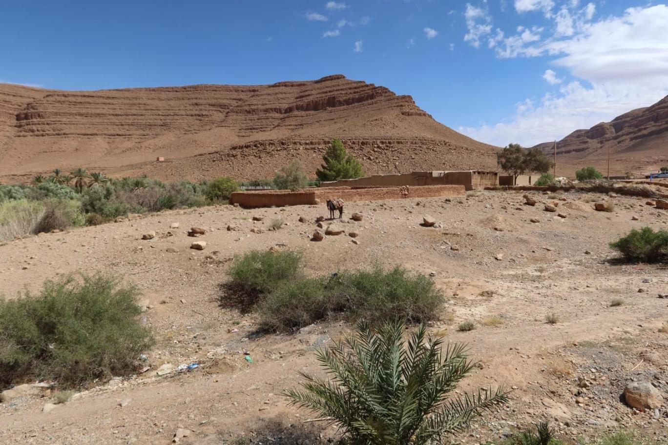 Gite D'Etape Ziz Oasis Achbarou Eksteriør bilde